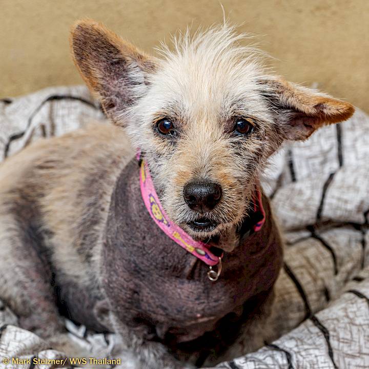 Lucy's Journey... (Part 1)