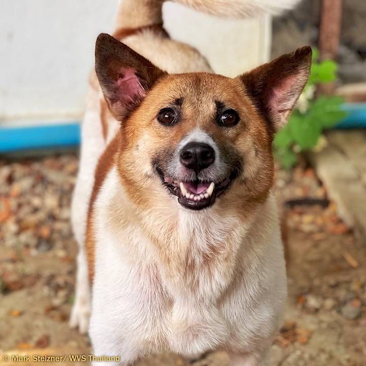 Tessa's Best Songkran Ever!