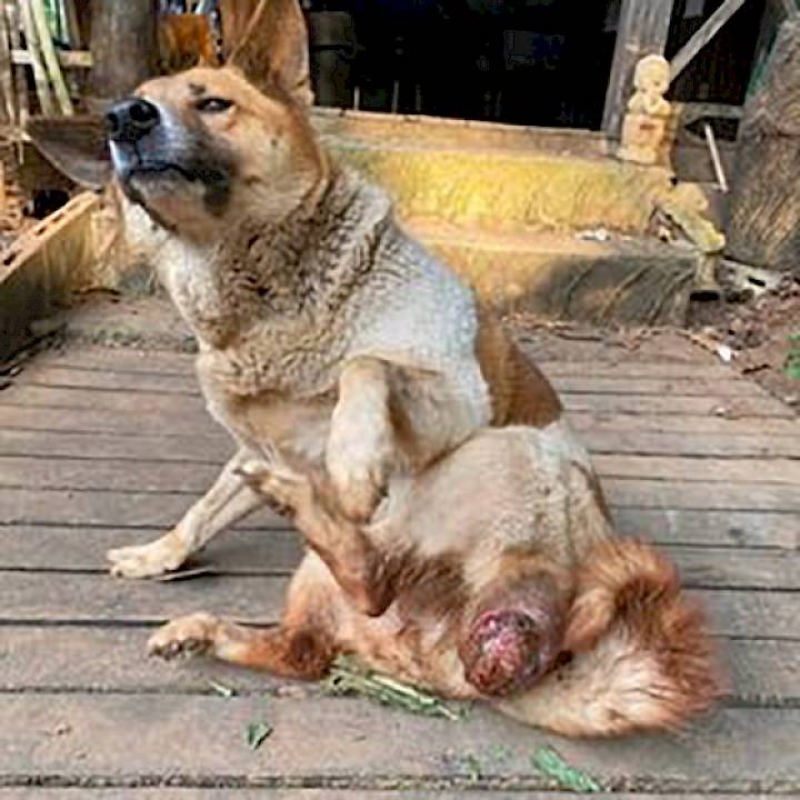 Tessa's Best Songkran Ever!