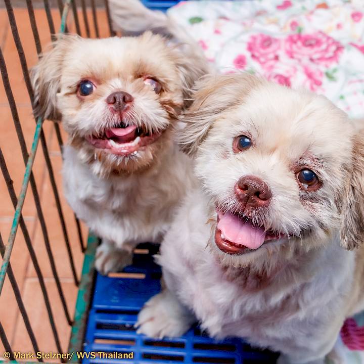 Neung & Auan