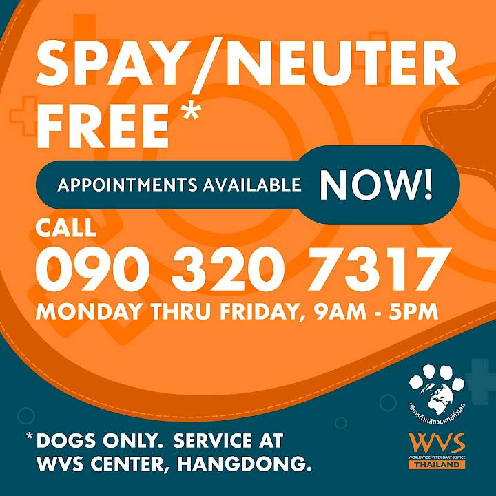 Sign Up for Free Dog Sterilizations