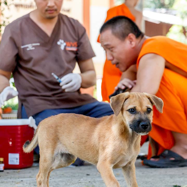 Preventive Community Outreach Campaign