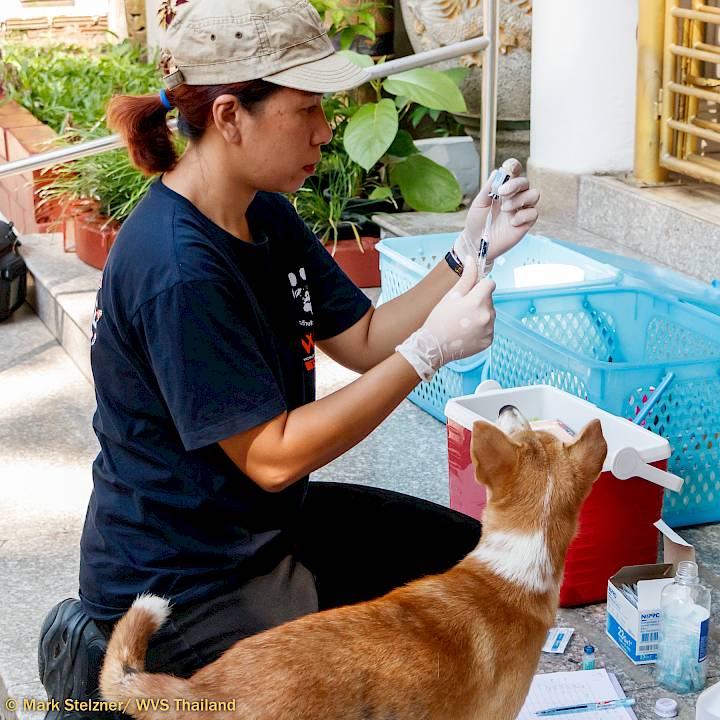 Preventive Community Outreach Campaign