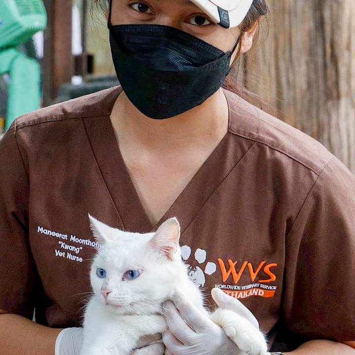 แคมเปญรณรงค์เชิงป้องกันเพื่อสุนัขในชุมชน