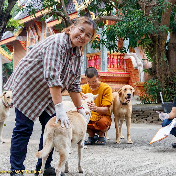 แคมเปญรณรงค์เชิงป้องกันเพื่อสุนัขในชุมชน