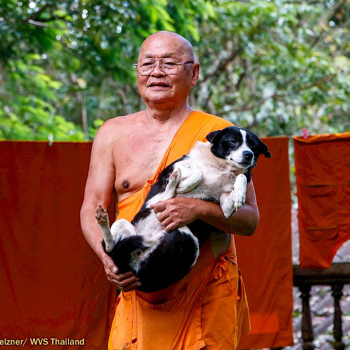 แคมเปญรณรงค์เชิงป้องกันเพื่อสุนัขในชุมชน