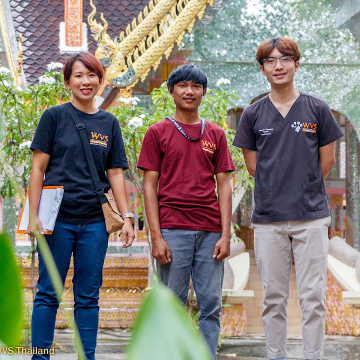 แคมเปญรณรงค์เชิงป้องกันเพื่อสุนัขในชุมชน