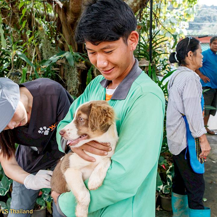 แคมเปญรณรงค์เชิงป้องกันเพื่อสุนัขในชุมชน