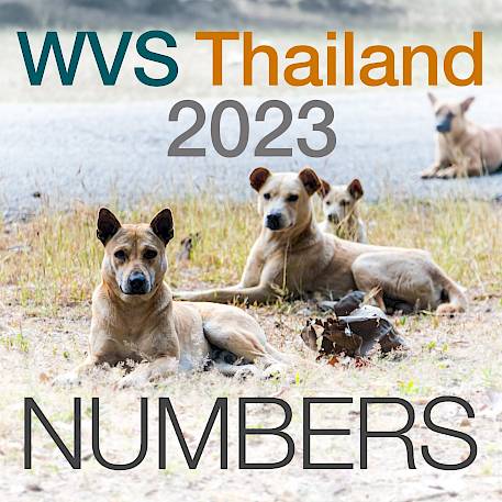 ไฮไลท์ปี 2023