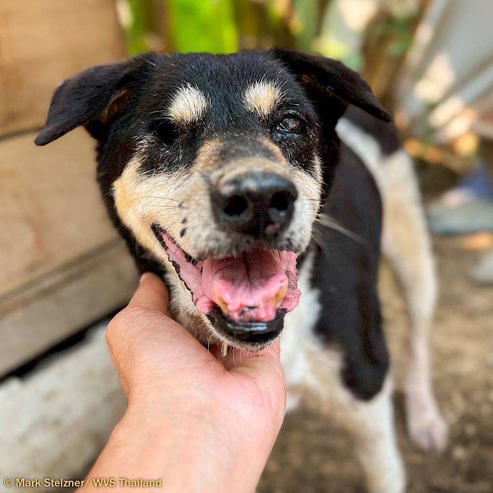 เอมิลี่