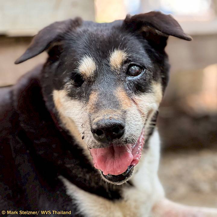 เอมิลี่