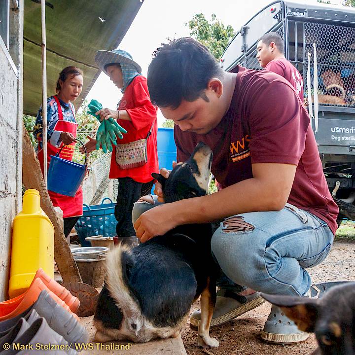 We Never Stop Helping Animals!