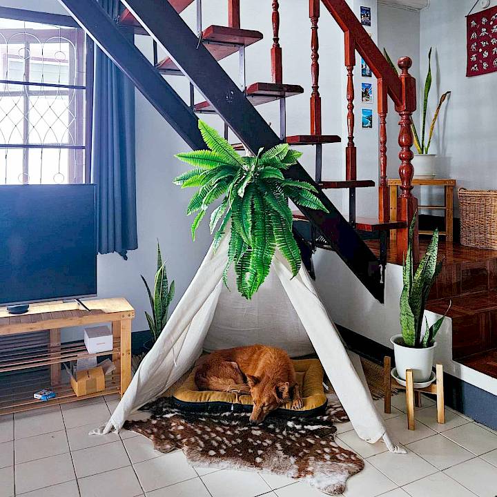 แซมก้าโชคดีที่สุดเลย