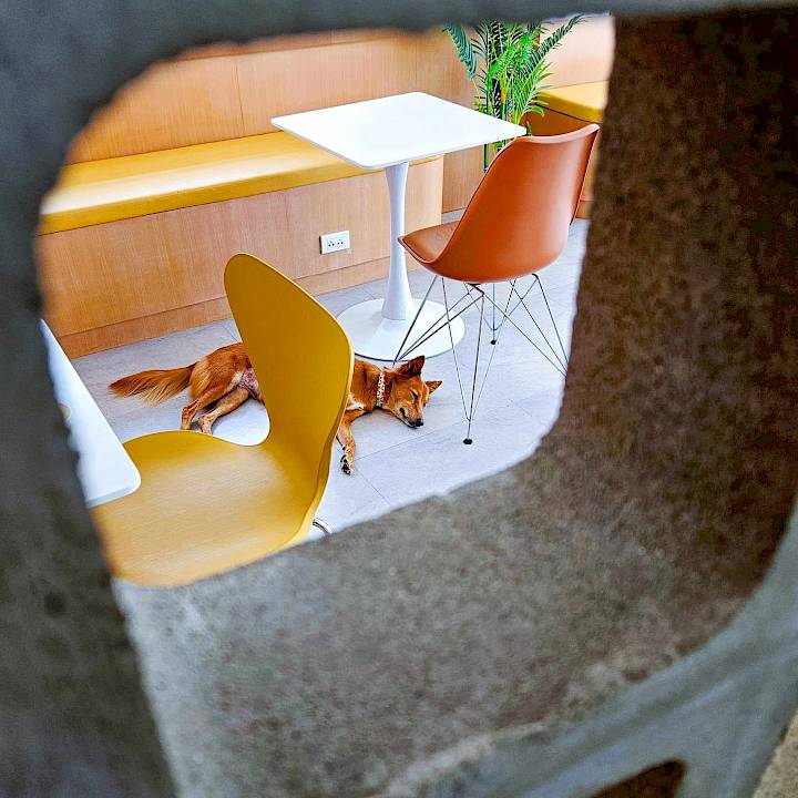 แซมก้าโชคดีที่สุดเลย