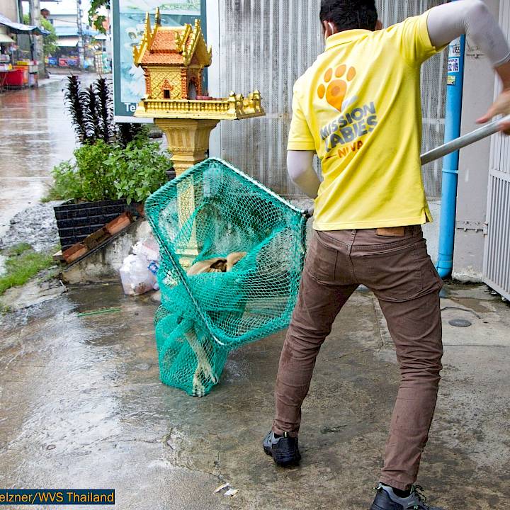 Mission Rabies Cambodia