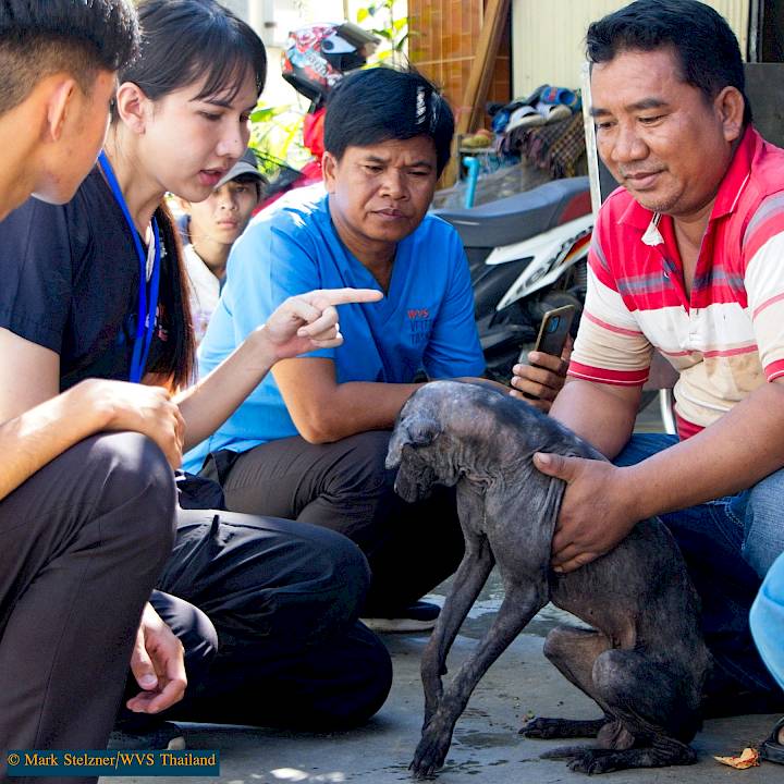Mission Rabies Cambodia