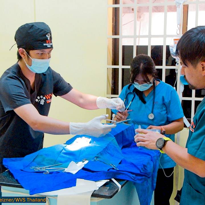 Mission Rabies Cambodia