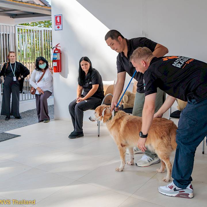 WVS Thailand Hosts International Rabies Workshop