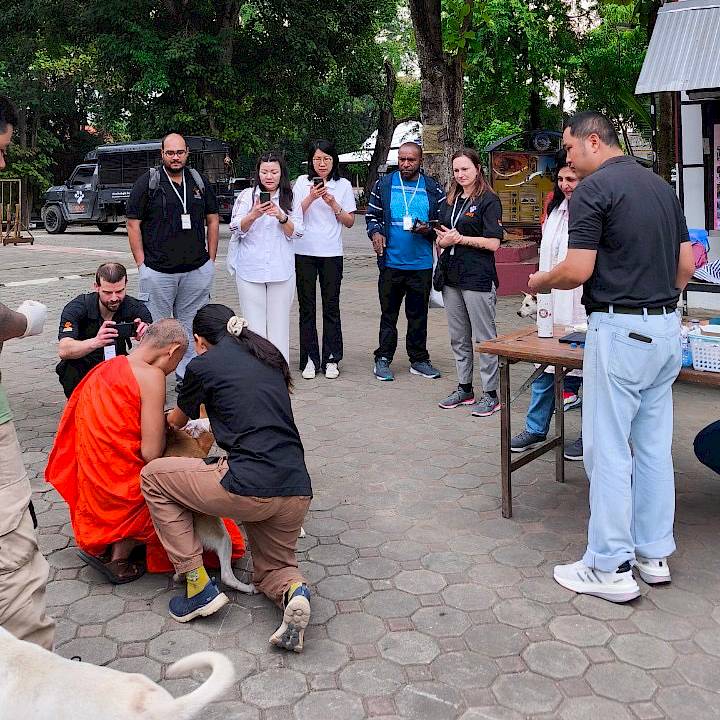 WVS Thailand Hosts International Rabies Workshop