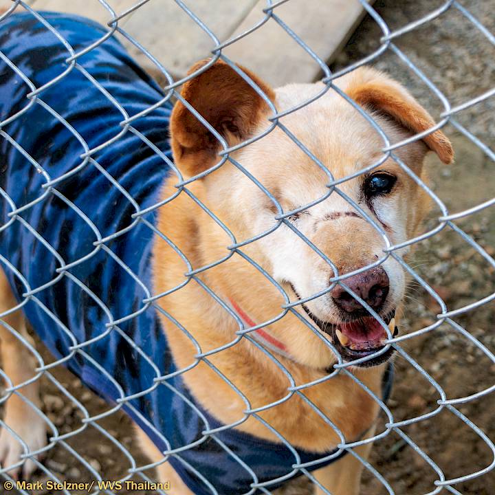 มาทำให้พวกเขาอบอุ่นกันเถอะ!