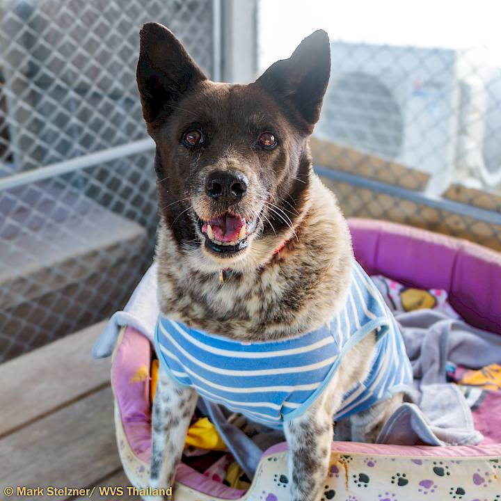 มาทำให้พวกเขาอบอุ่นกันเถอะ!