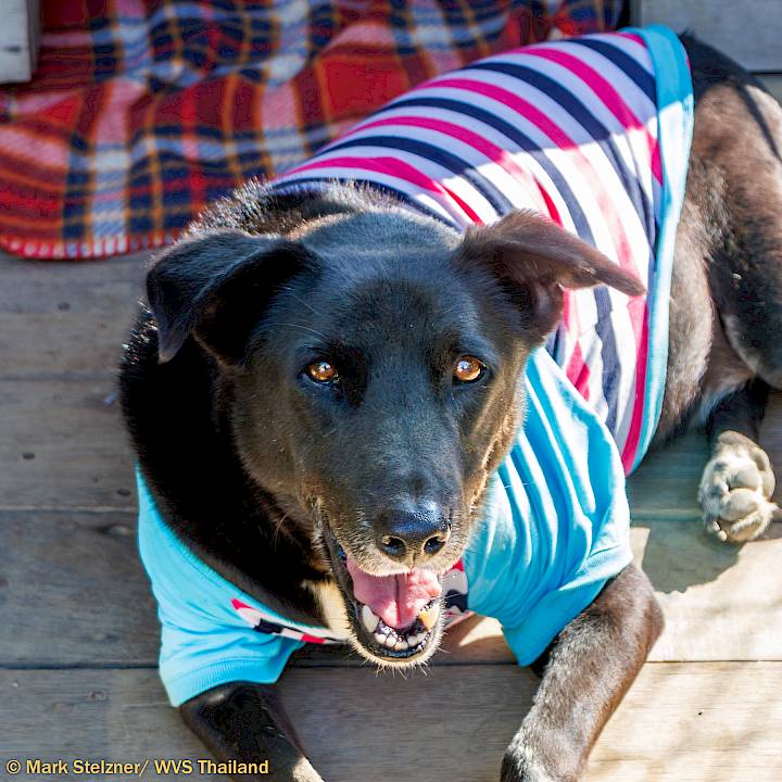 มาทำให้พวกเขาอบอุ่นกันเถอะ!