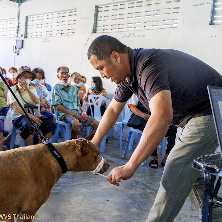 Enhancing Knowledge and Animal Welfare in Wiang Tha Kan