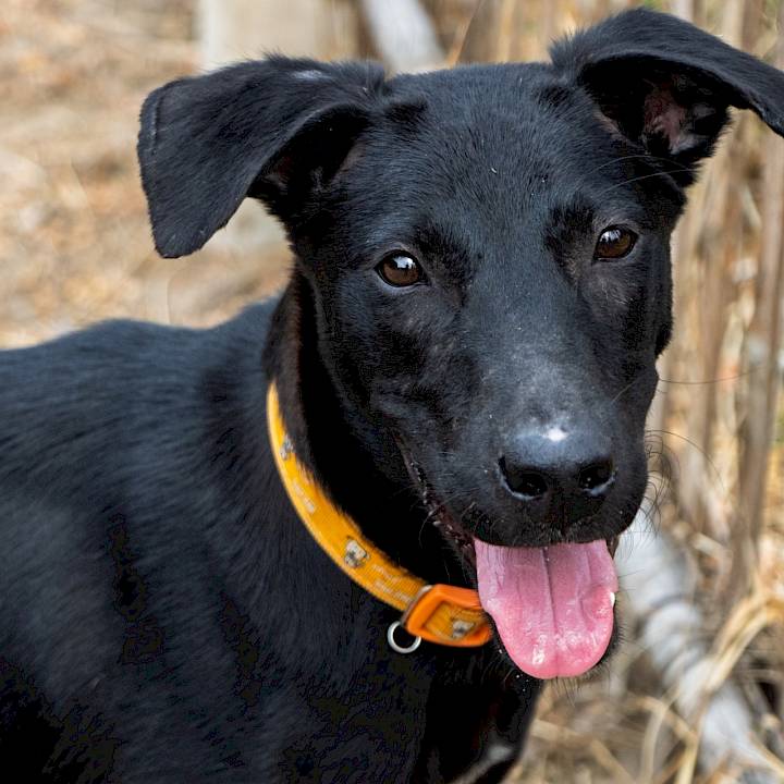 ลองมองหน้าตาน่ารักๆของผมสิครับ