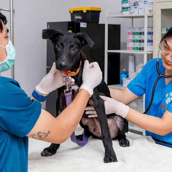 ลองมองหน้าตาน่ารักๆของผมสิครับ