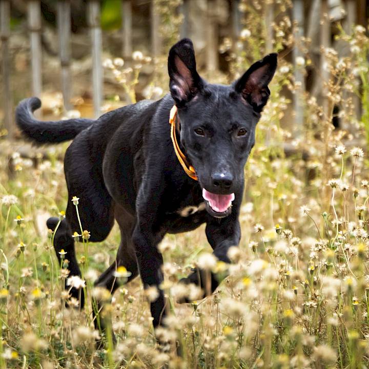 ลองมองหน้าตาน่ารักๆของผมสิครับ