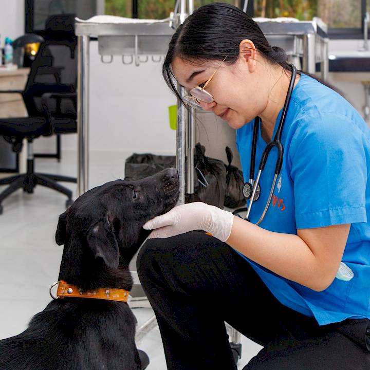 ลองมองหน้าตาน่ารักๆของผมสิครับ