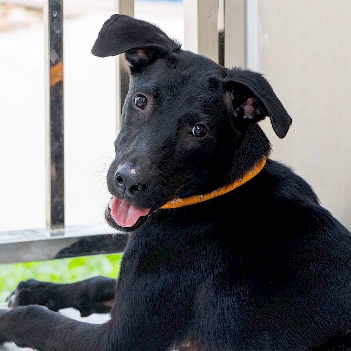 ลองมองหน้าตาน่ารักๆของผมสิครับ