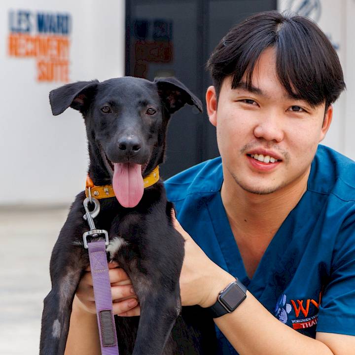 ลองมองหน้าตาน่ารักๆของผมสิครับ