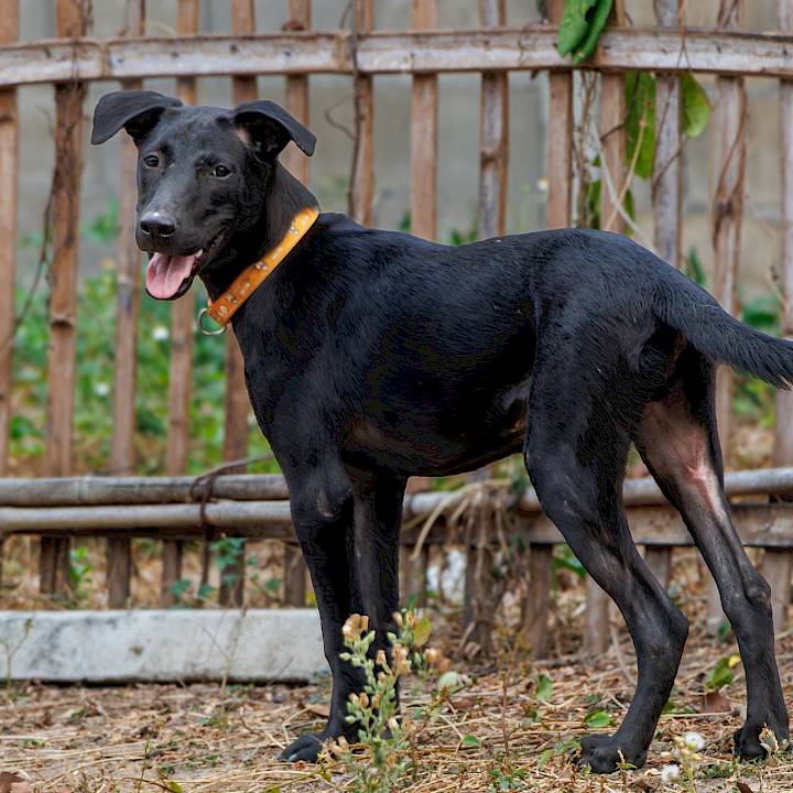 ลองมองหน้าตาน่ารักๆของผมสิครับ