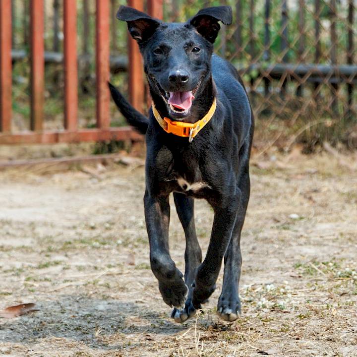 ลองมองหน้าตาน่ารักๆของผมสิครับ