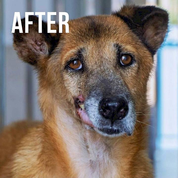 จากบาดแผลสู่ชีวิตใหม่ของ "วาเลนไทน์"