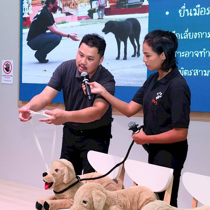 Donkaew Municipality