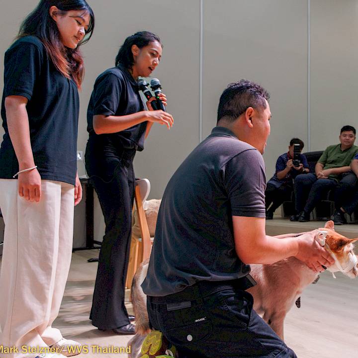 Donkaew Municipality