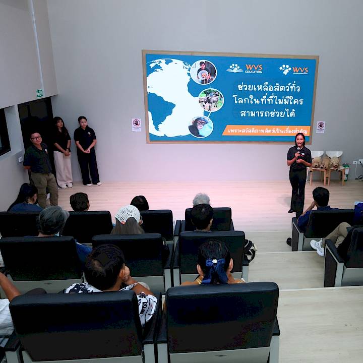 Donkaew Municipality