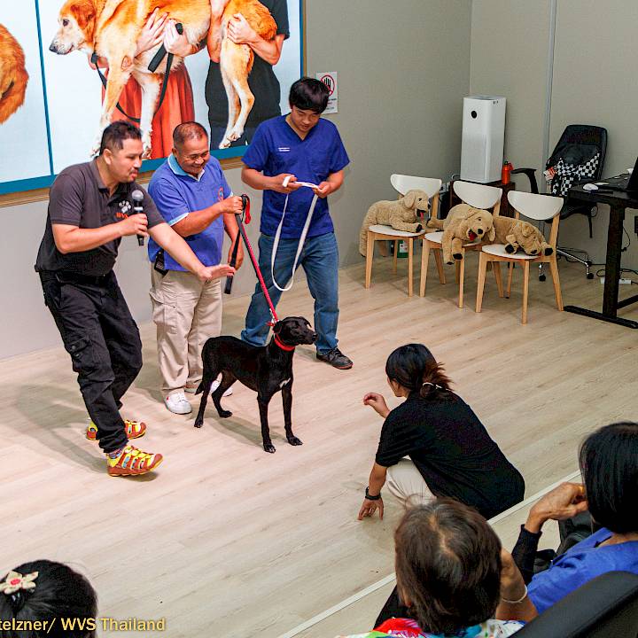 Donkaew Municipality