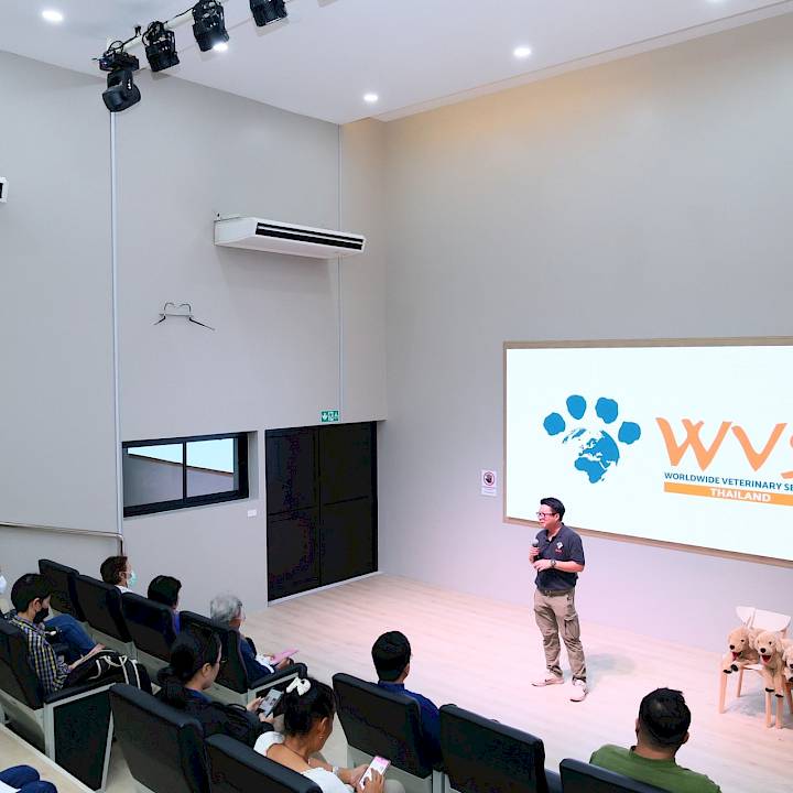 Donkaew Municipality