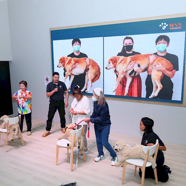 Donkaew Municipality