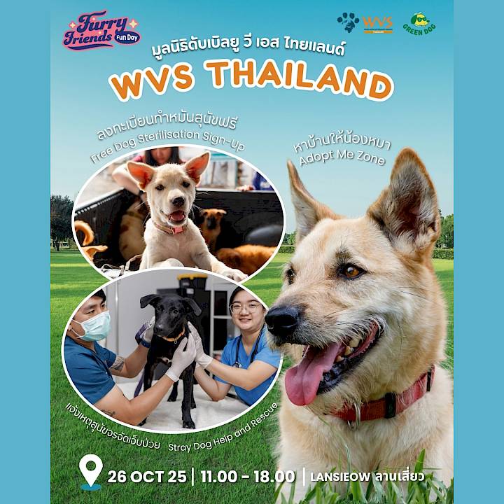 Come Say Hi to WVS Thailand at Furry Friends Fun Day!