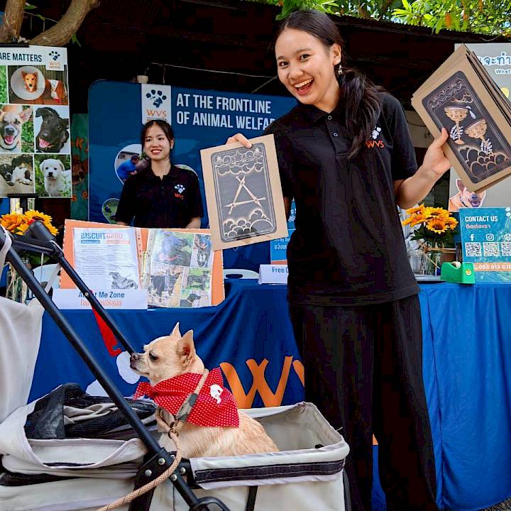 Furry Friends Fun Day