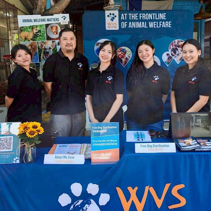 Furry Friends Fun Day