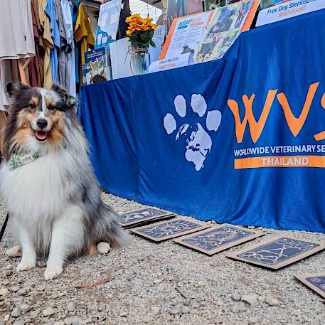 Furry Friends Fun Day