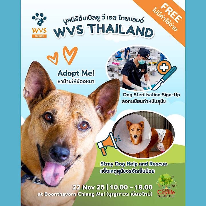 Citylife Garden Fair