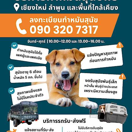 ทำหมันสุนัขฟรี ในพื้นที่เชียงใหม่ ลำพูน และพื้นที่ใกล้เคียง