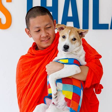 Moving Forward on Three Little Paws!