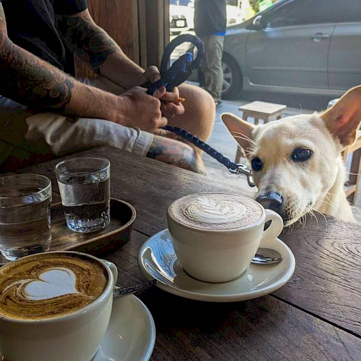 Sam: From Life At A Landfill To The Open Road!